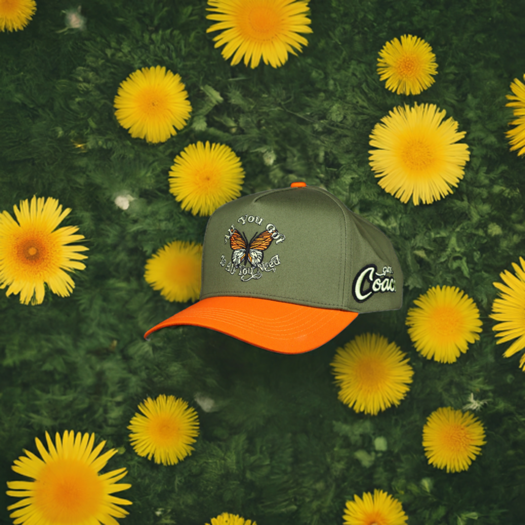 GEC All You Got Butterfly Baseball Cap